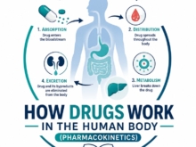 Pharmacokinetics