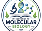 Molecular Biology