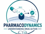 Pharmacodynamics